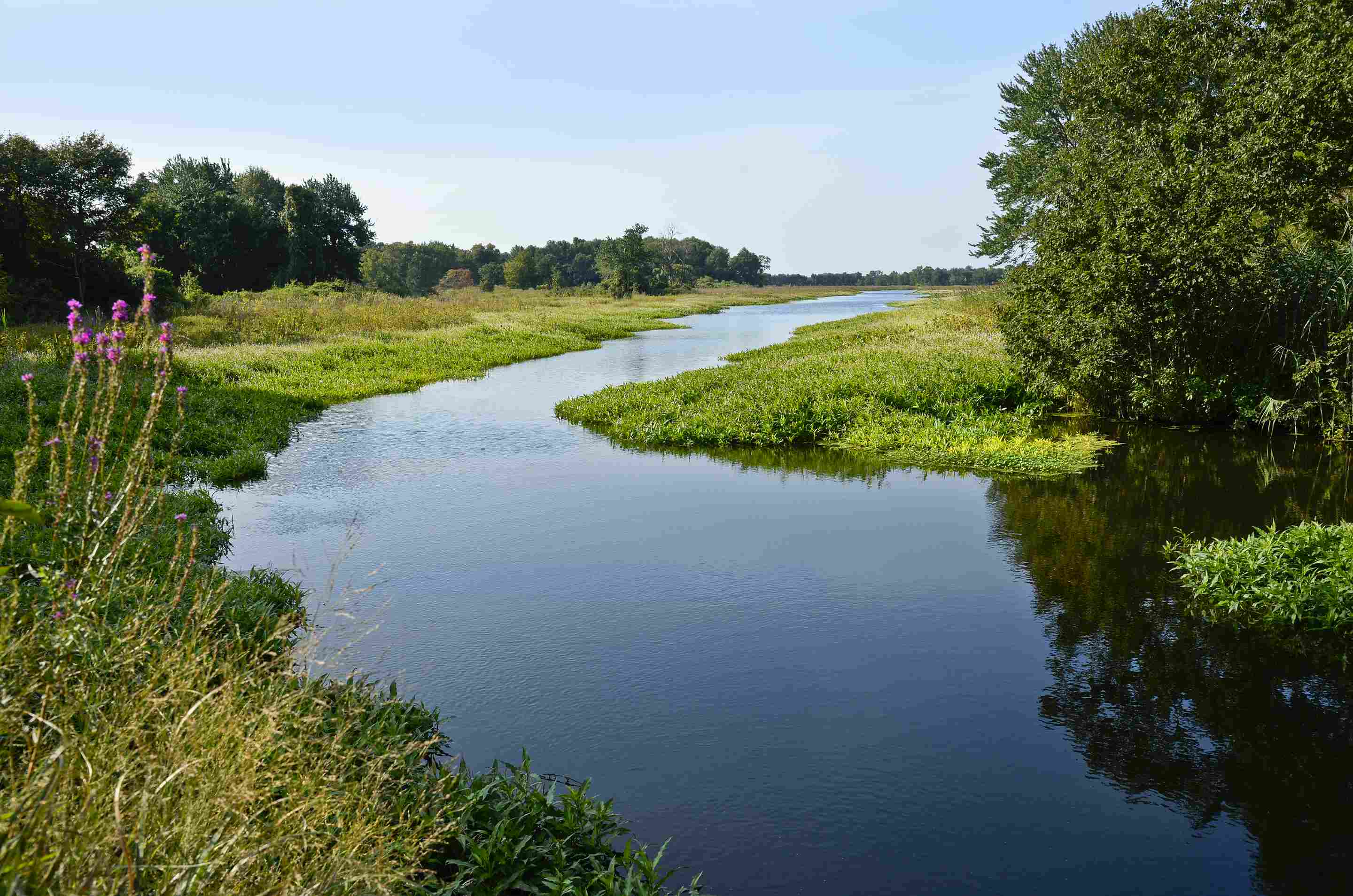 Duane-Loveland_Brecks-Mil-on-Brandywine